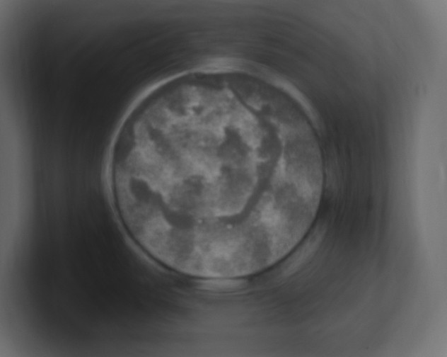 X0000100501487200807111133