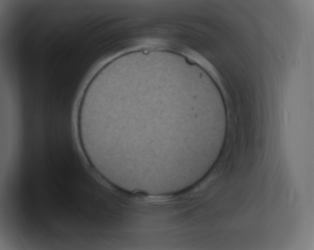 X0000100501488200807111133