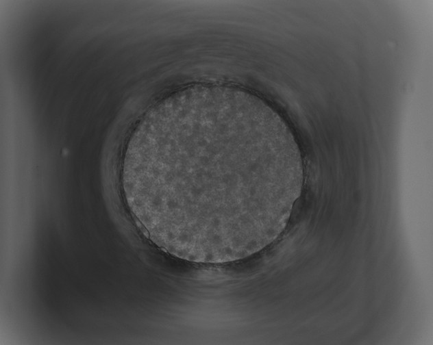 X0000100501489200807111132