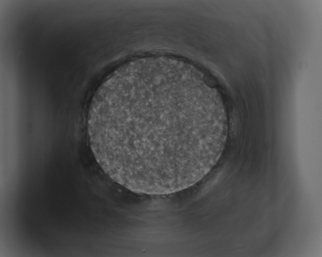 X0000100501494200807111132