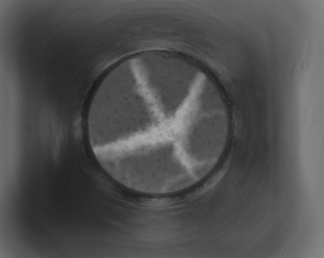 X0000100501497200807111132