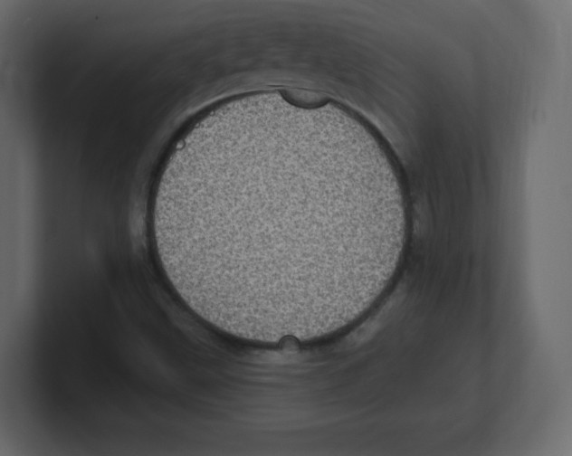 X0000100501499200807111132