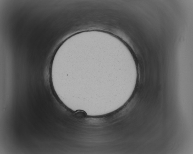 X0000100501500200807111132