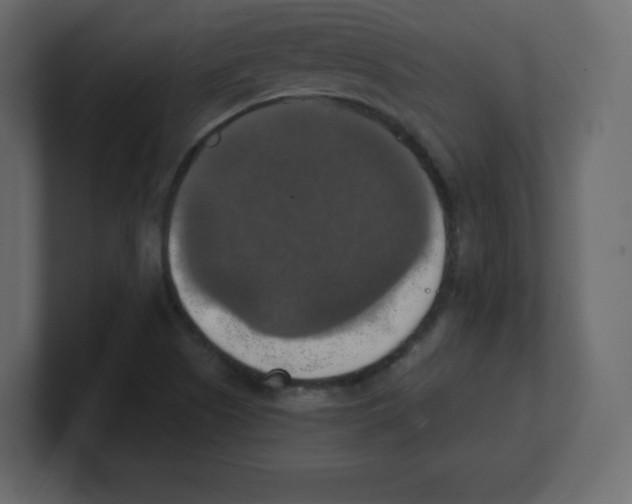 X0000100501505200807111132