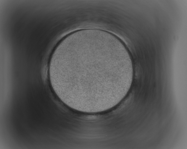 X0000100501507200807111132