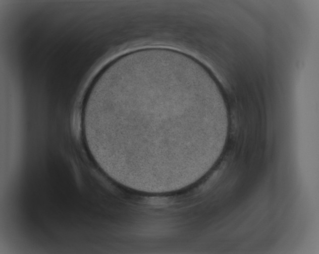 X0000100501511200807111132