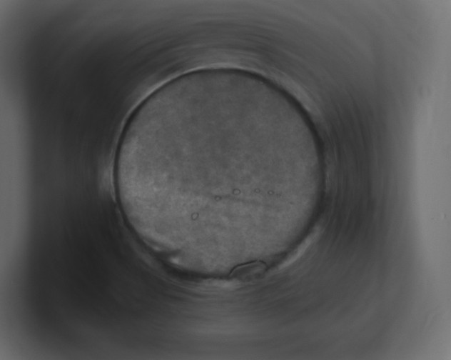 X0000100501513200807111132