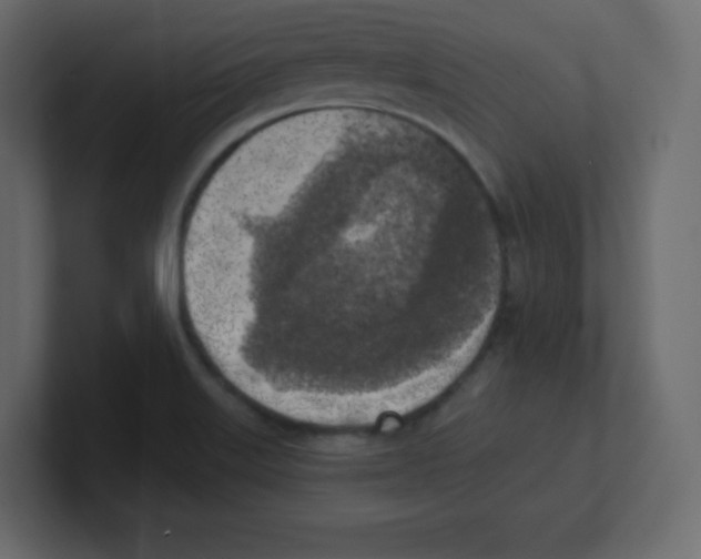 X0000100501515200807111132