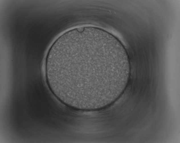 X0000100501516200807111132