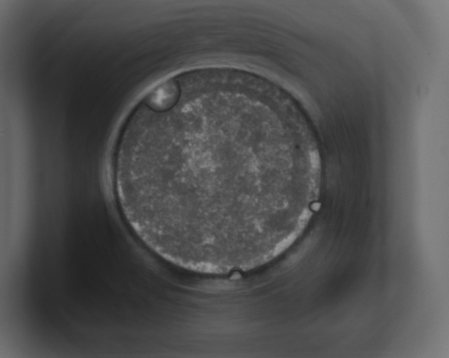 X0000100501517200807111132