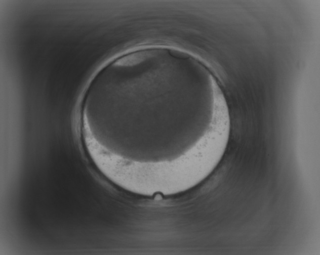 X0000100501519200807111133