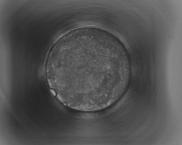 X0000100501521200807111133