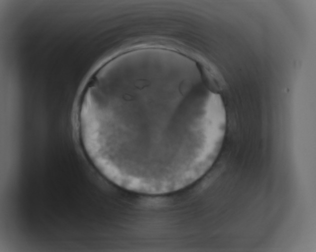 X0000100501522200807111133