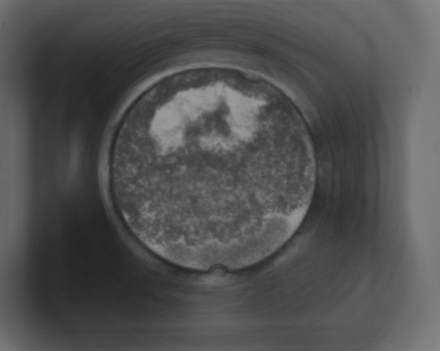 X0000100501523200807111133