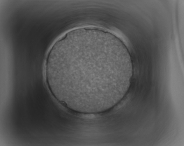 X0000100501524200807111133