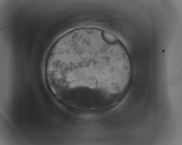 X0000100501525200807111133