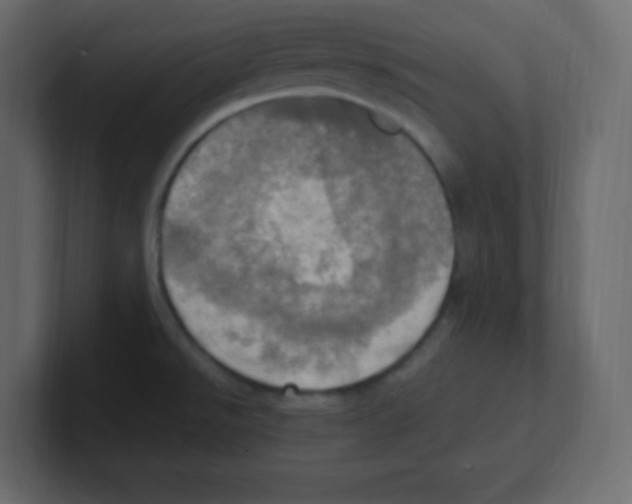 X0000100501526200807111133