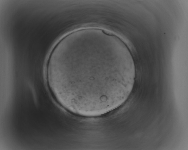 X0000100501527200807111133