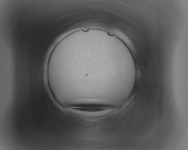 X0000100501528200807111133