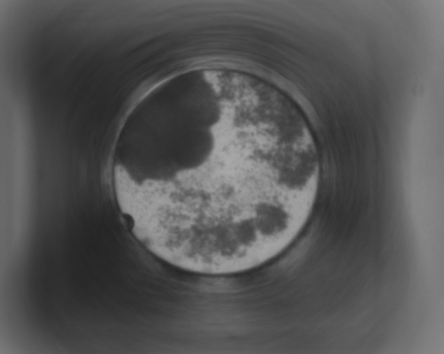 X0000100501529200807111133