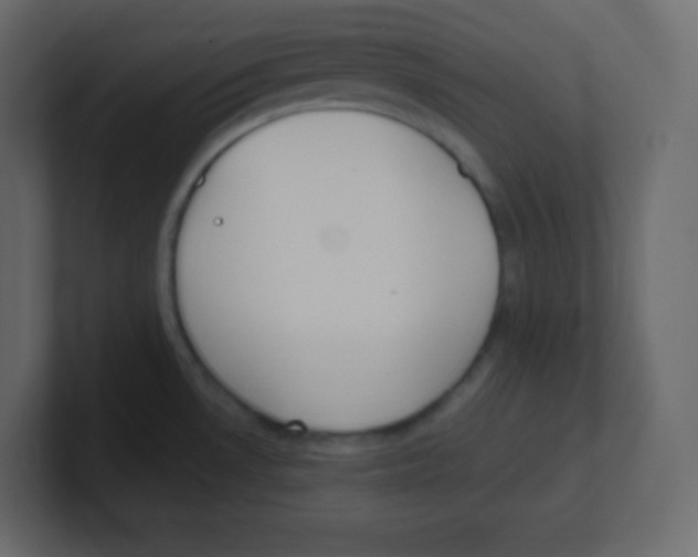 X0000100501530200807111133