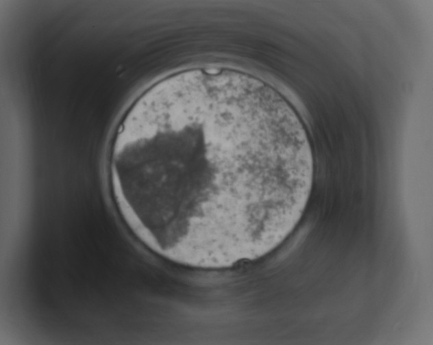 X0000100501533200807111133