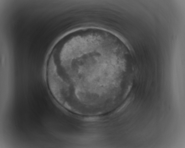 X0000100501535200807111133