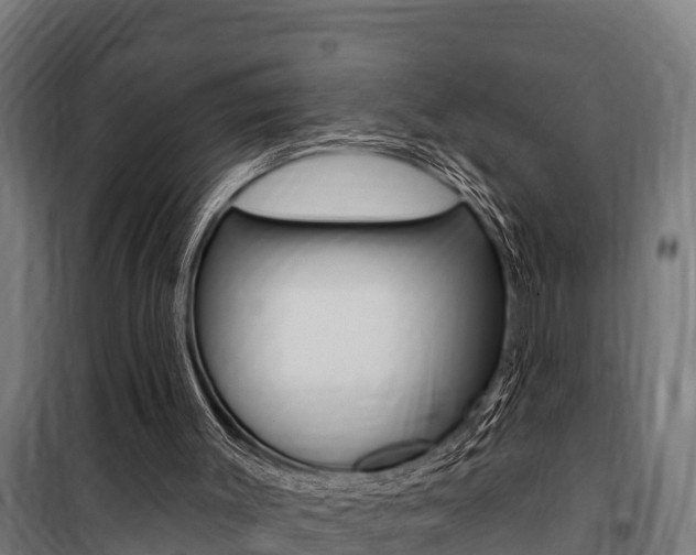 X0000100750003200806190834