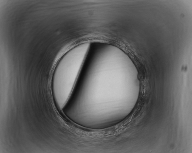 X0000100750004200806190834