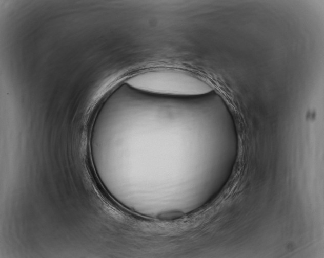 X0000100750005200806190834