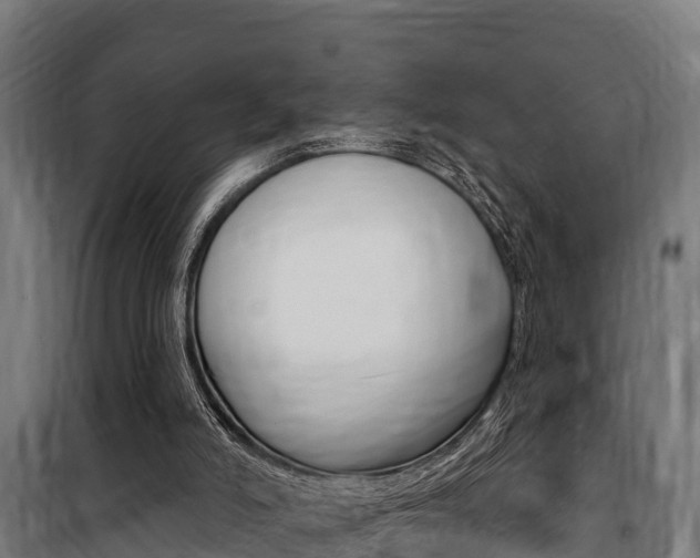 X0000100750006200806190834