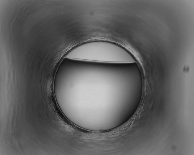 X0000100750009200806190834