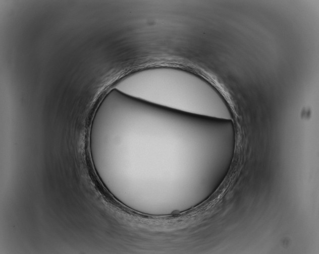 X0000100750010200806190834
