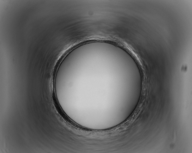 X0000100750011200806190834