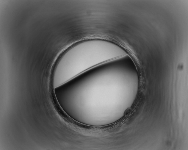 X0000100750012200806190834