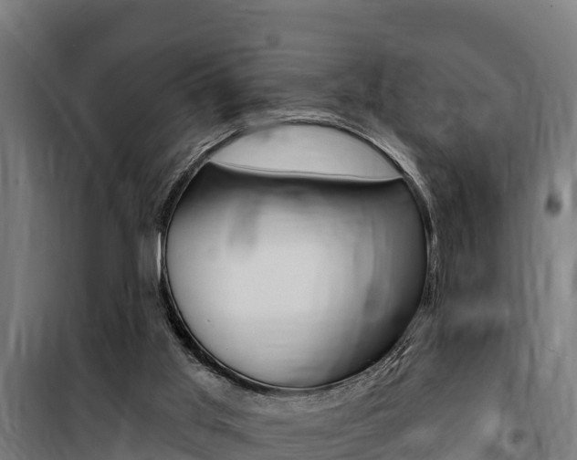 X0000100750013200806190834