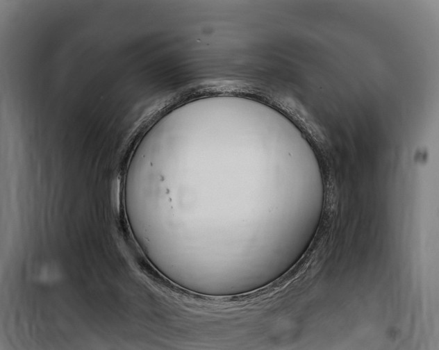 X0000100750014200806190834