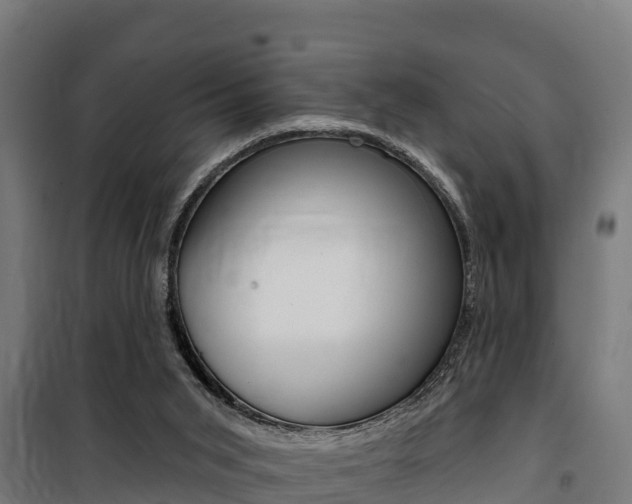 X0000100750015200806190834