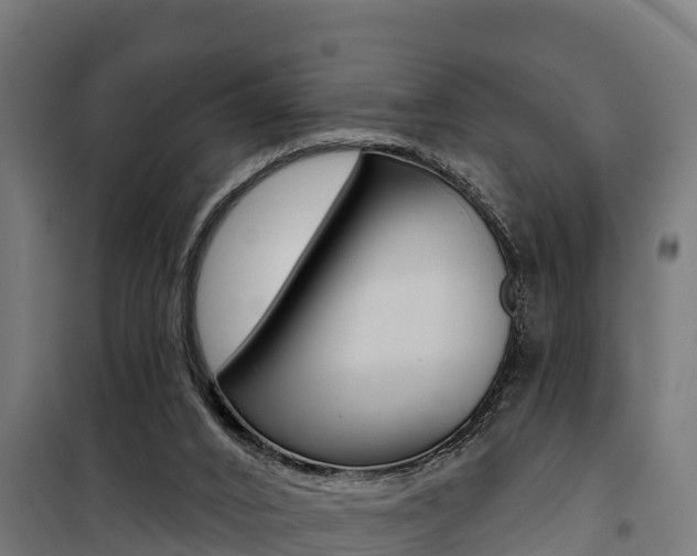 X0000100750016200806190834