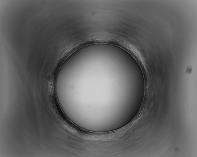 X0000100750017200806190834