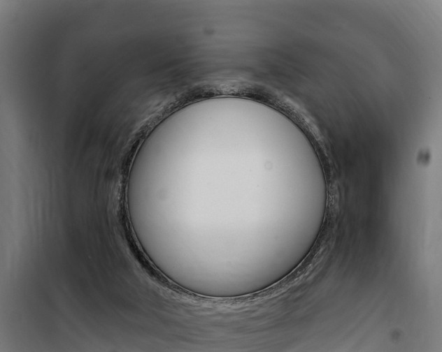 X0000100750018200806190834