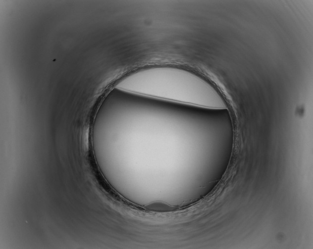 X0000100750019200806190834