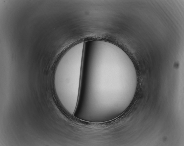 X0000100750020200806190834