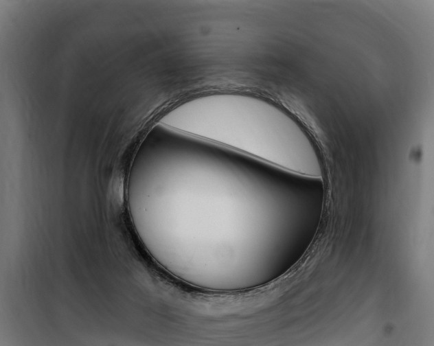 X0000100750021200806190834