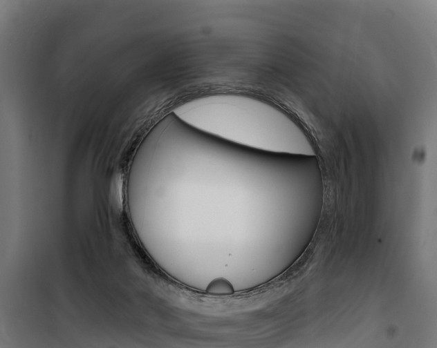 X0000100750022200806190834