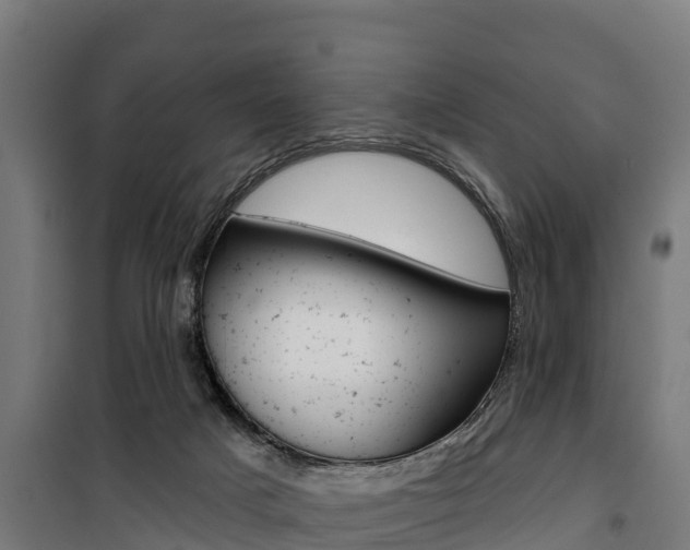 X0000100750025200806190834