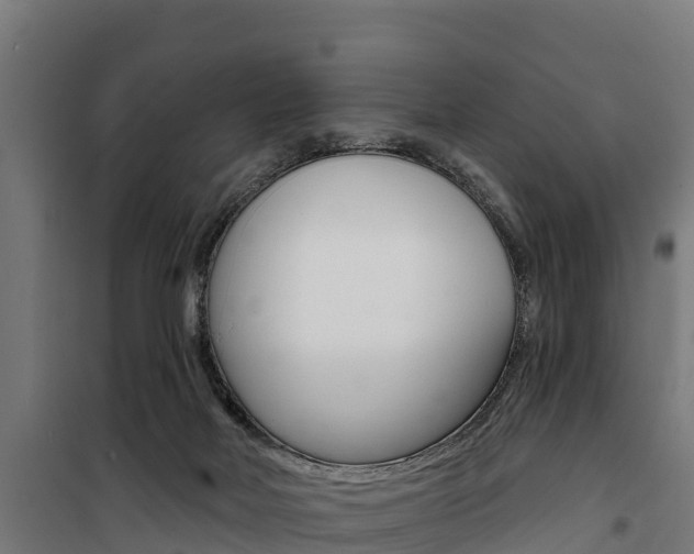 X0000100750026200806190834