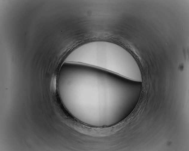 X0000100750027200806190834
