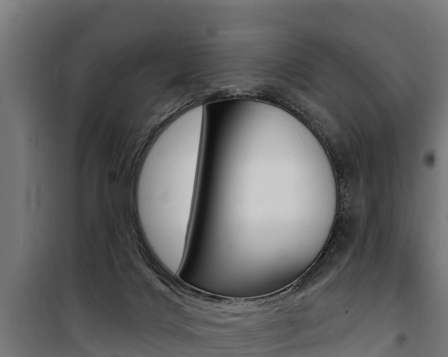 X0000100750028200806190834
