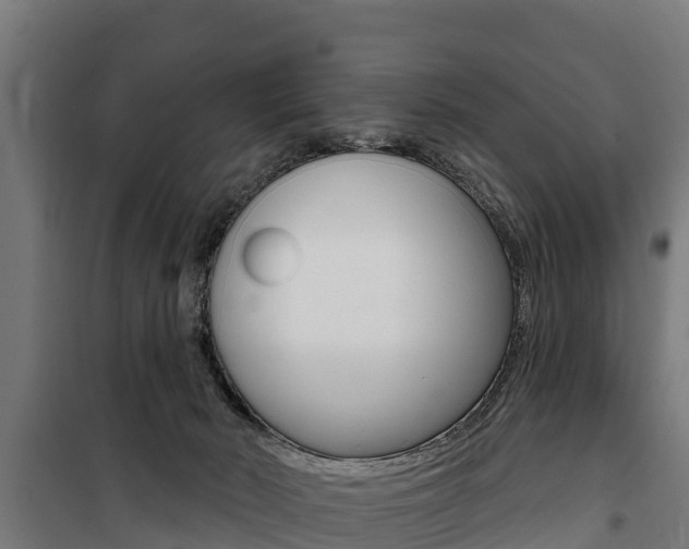 X0000100750030200806190834